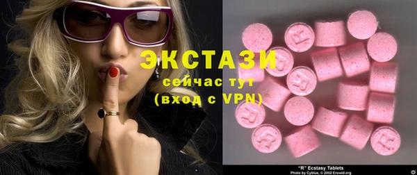 индика Каменногорск