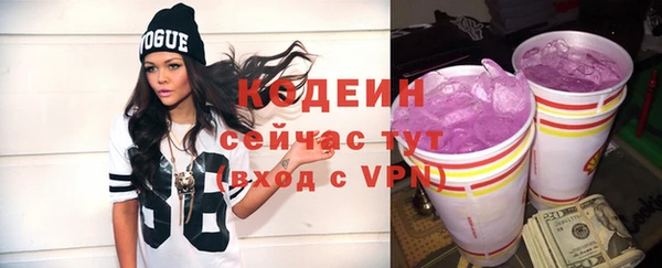 индика Каменногорск