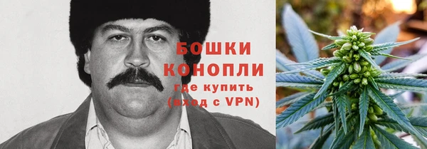 индика Каменногорск