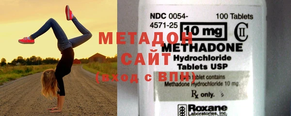 индика Каменногорск