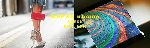индика Каменногорск