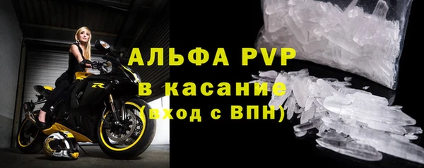 индика Каменногорск