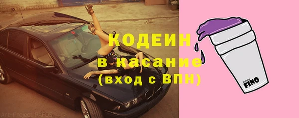 СК Каменск-Шахтинский