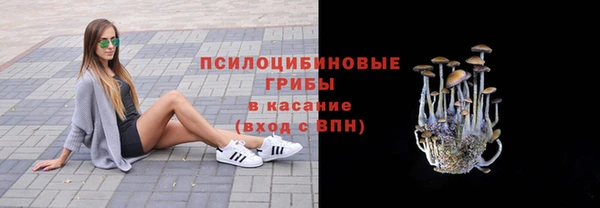 кокаин Каменка