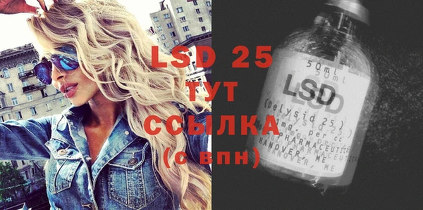 индика Каменногорск