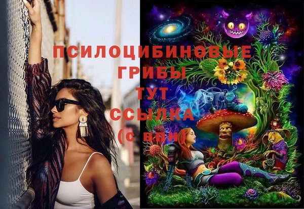 СК Каменск-Шахтинский