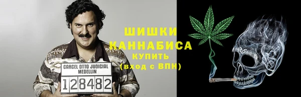 индика Каменногорск
