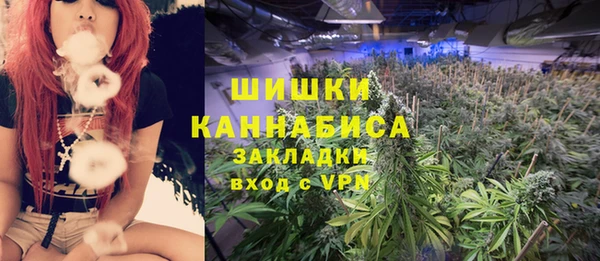 СК Каменск-Шахтинский