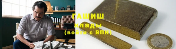 индика Каменногорск