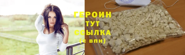 индика Каменногорск