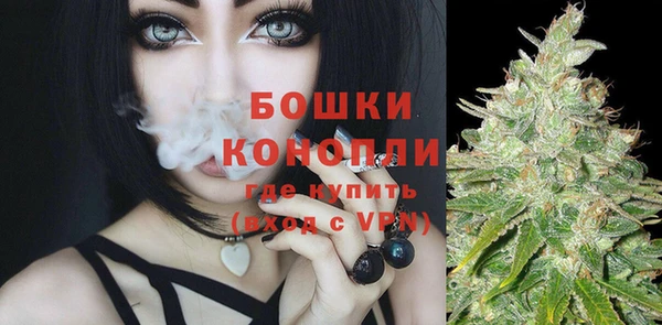 кокаин Каменка