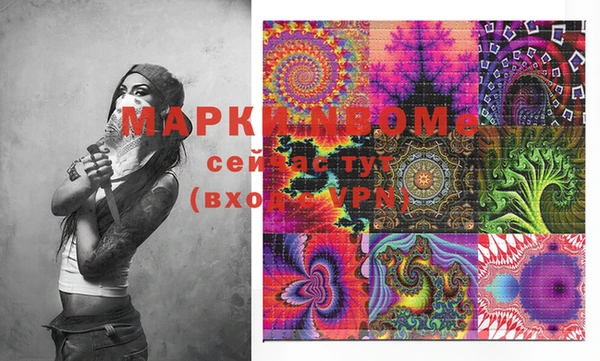 индика Каменногорск