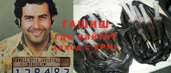 индика Каменногорск