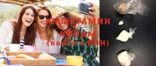 индика Каменногорск