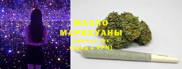 индика Каменногорск