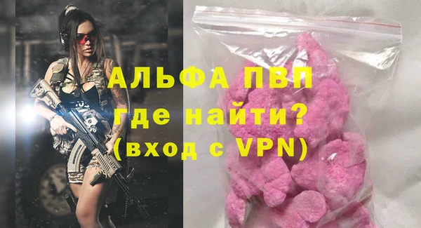 индика Каменногорск