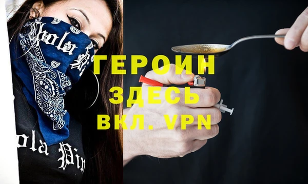 индика Каменногорск