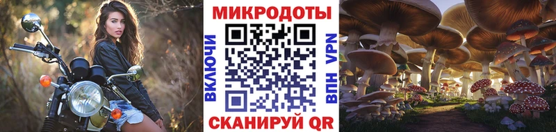 Купить где Боровичи Псилоцибиновые грибы мицелий